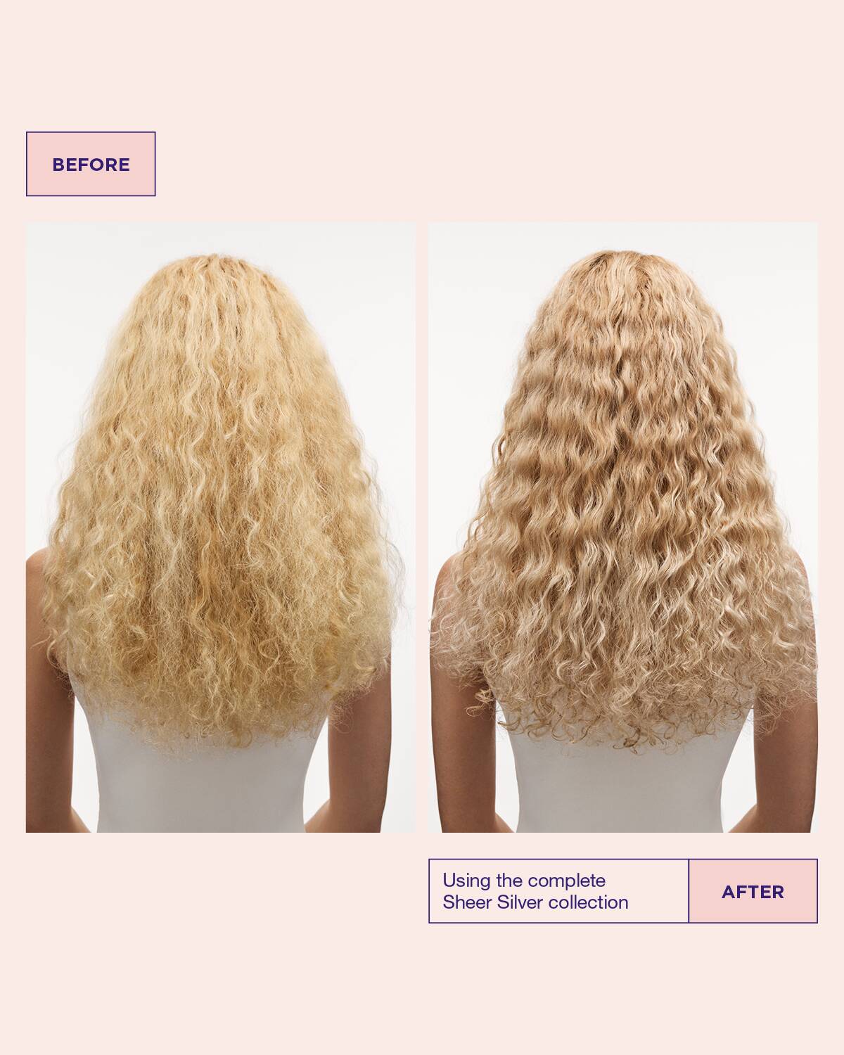 Model’s hair before and after using Sheer Silver booster hair mask hair mask for dry hair